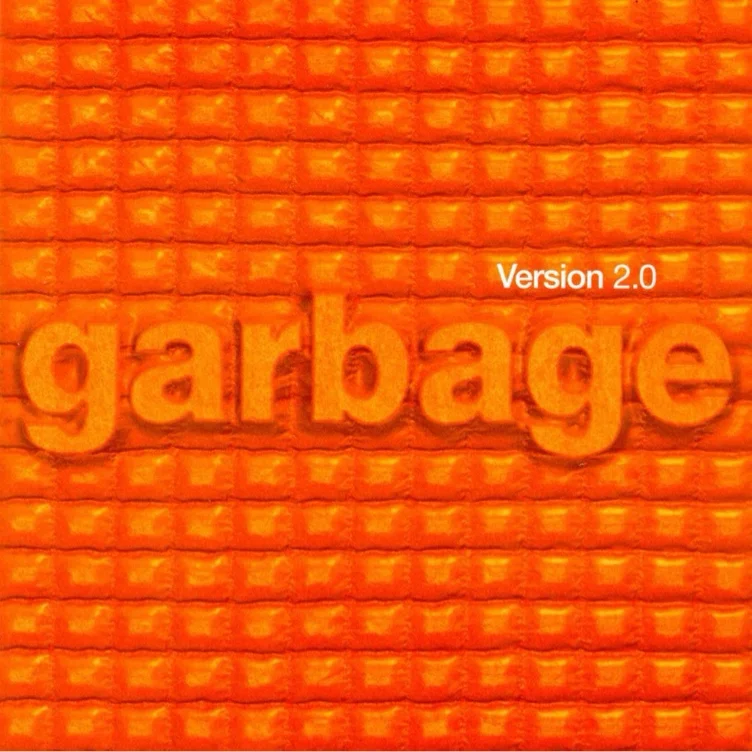 Garbage vinyl - Google Search
