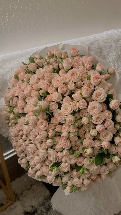 flowers Rosa 