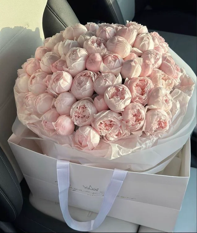 Flowers peonies