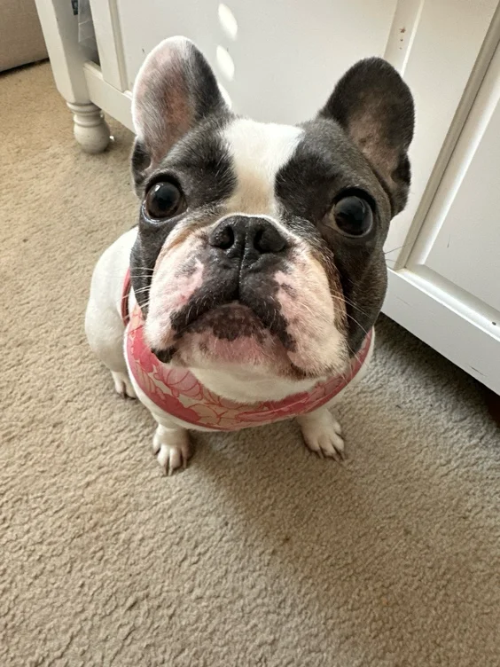 Sarah