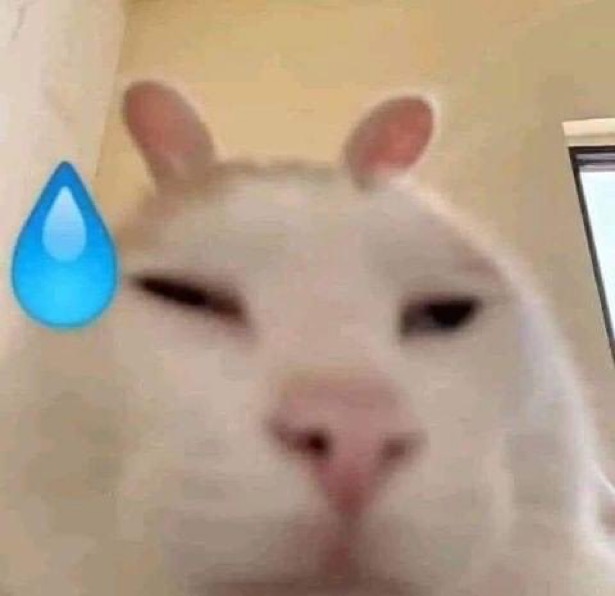WholesomeMay