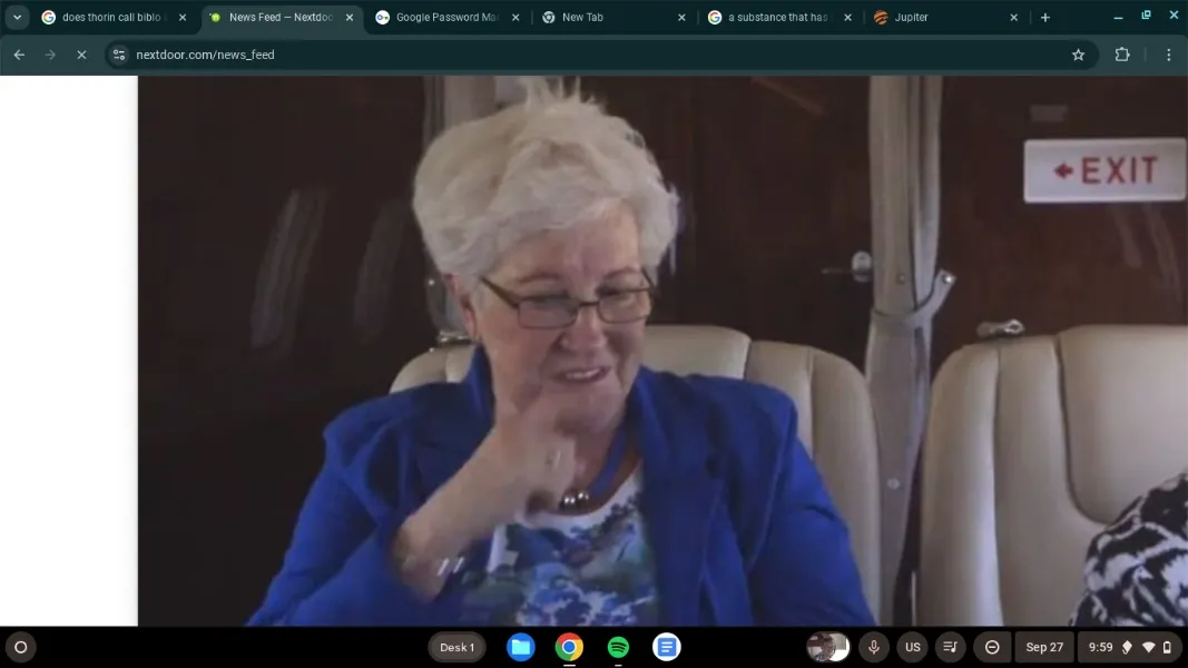 Aunt Bee