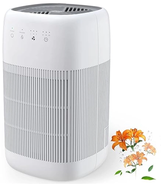 Afloia Air Purifier & Dehumidifier