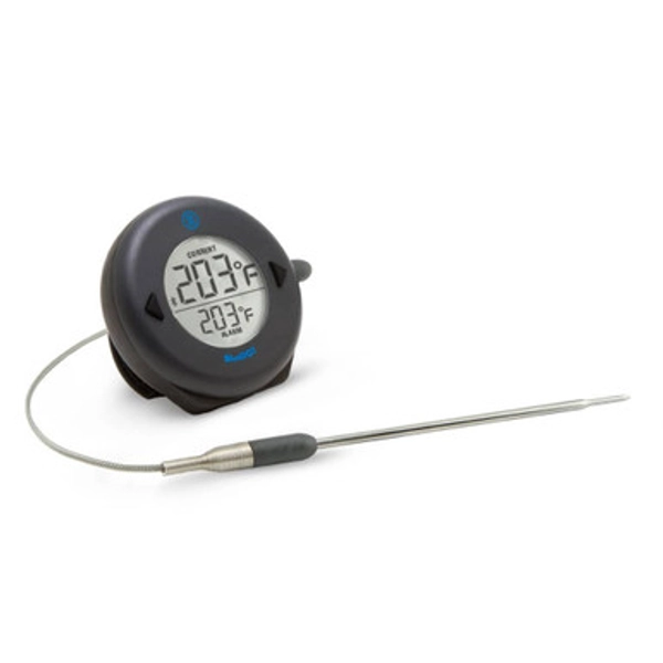 BlueDOT Alarm Thermometer