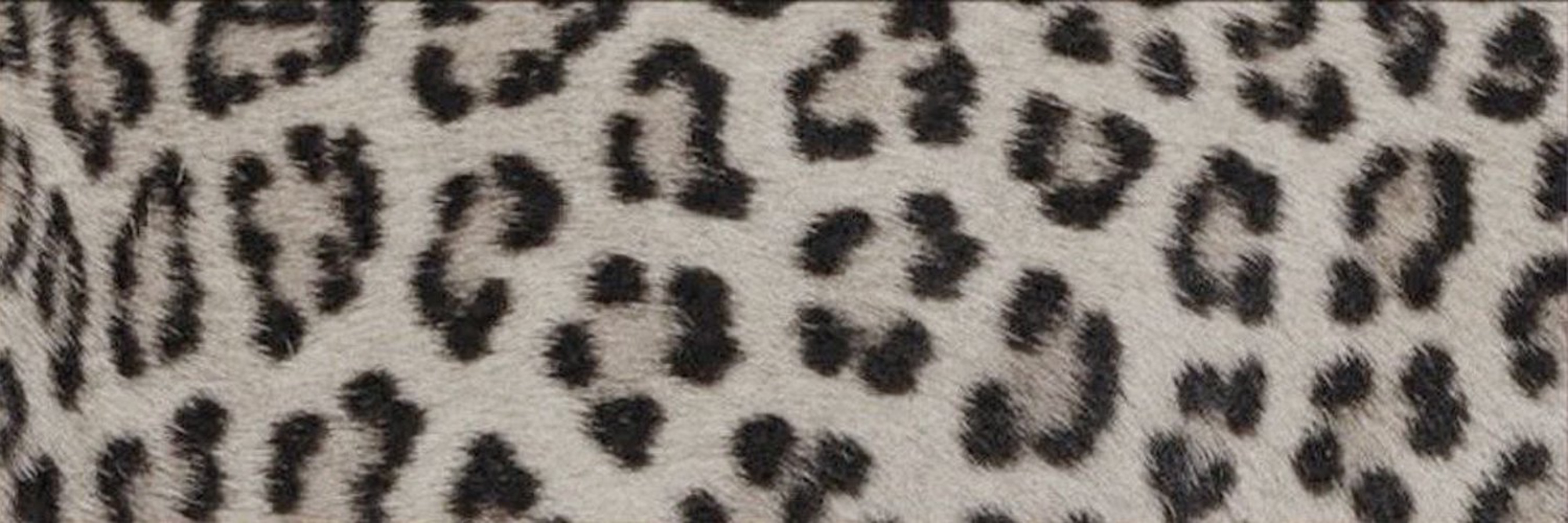 Throne banner for @yawn