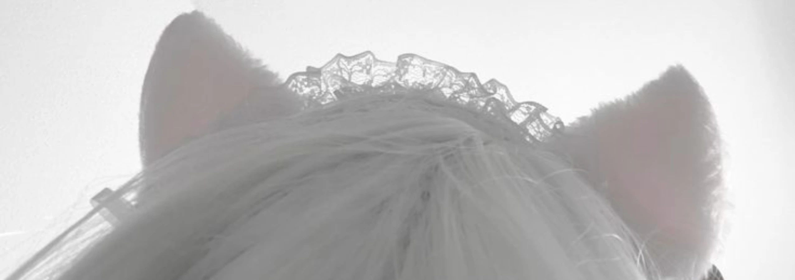 Throne banner for @miku