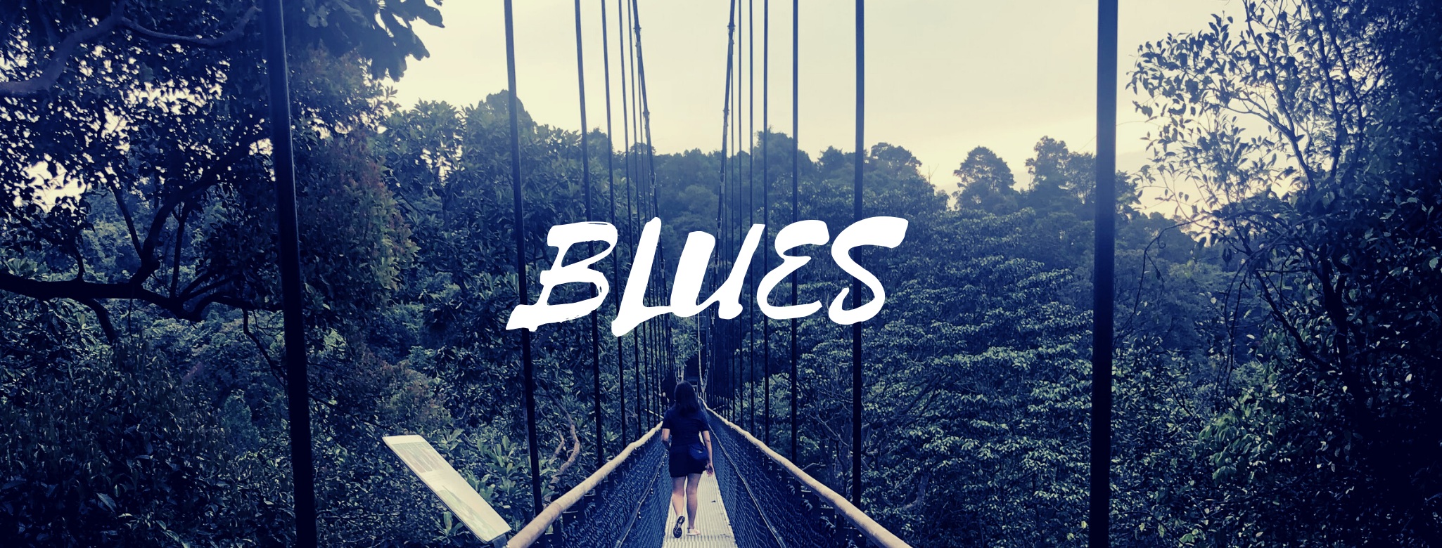 Throne banner for @blues