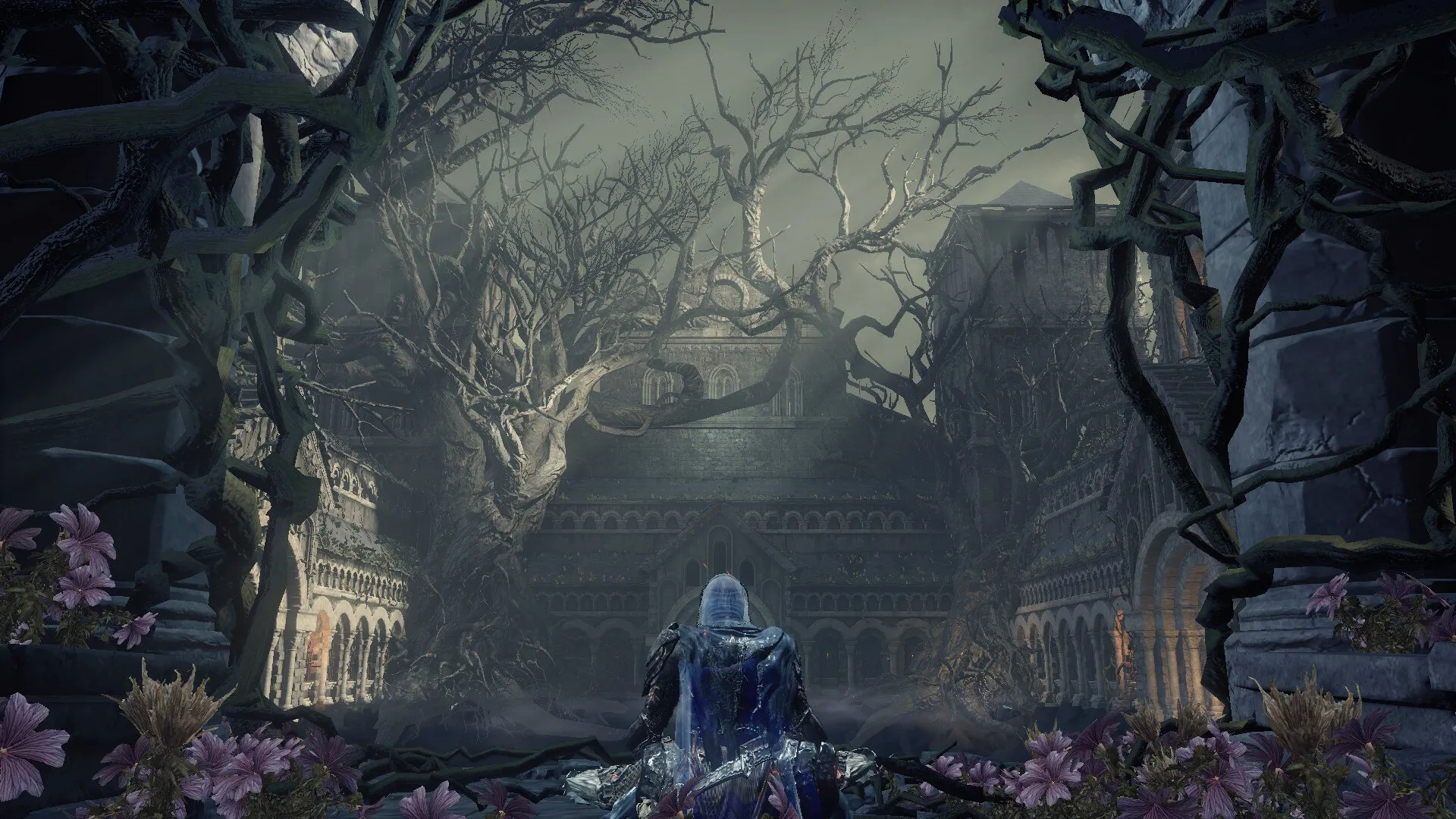 Throne banner for @narko