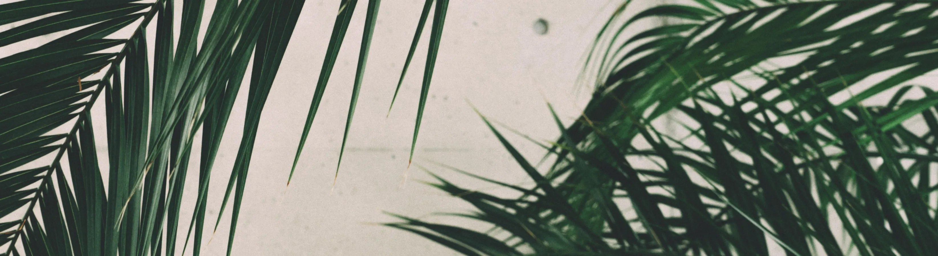 Throne banner for @mans