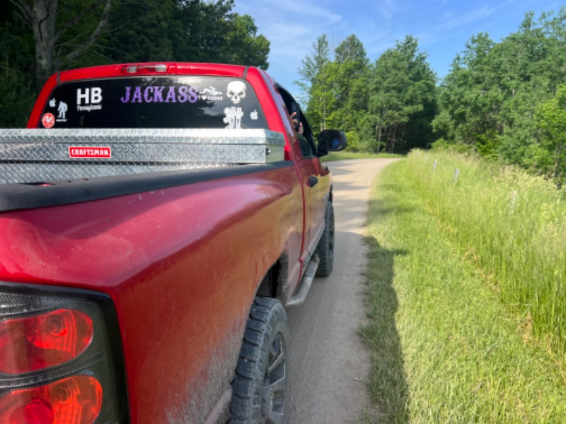Throne profile picture for @jackass