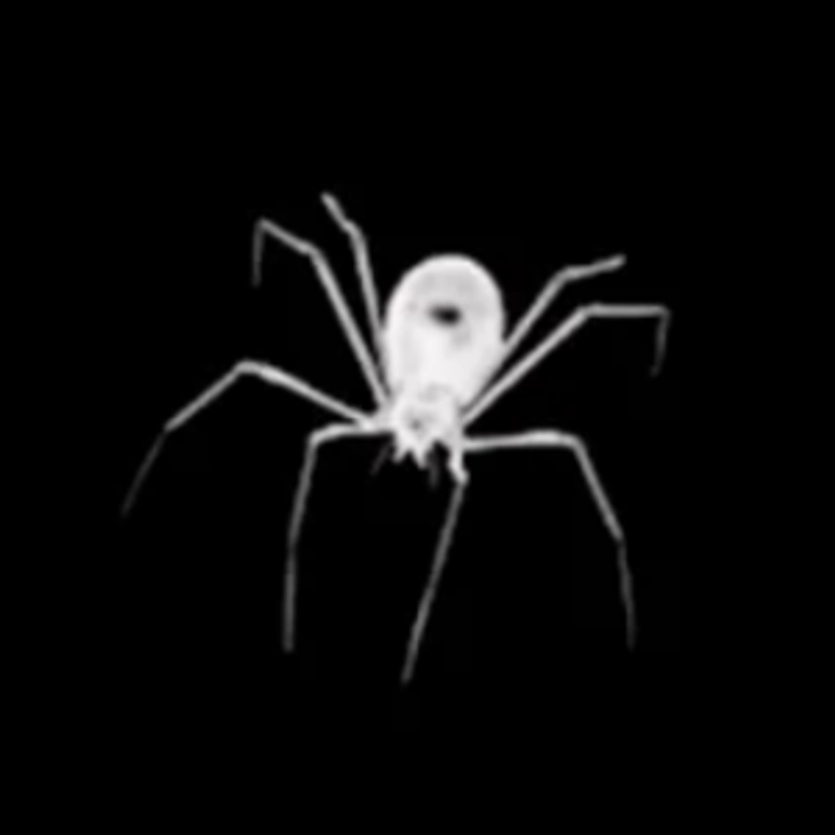 Throne profile picture for @spades