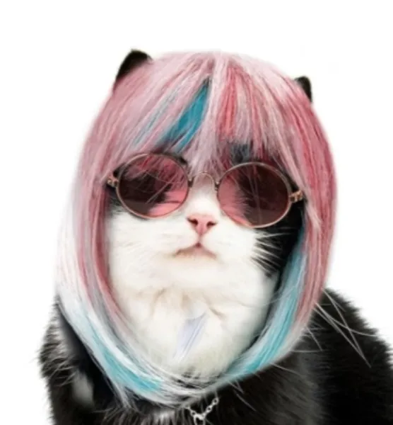 Girl With the Flower Tattoos