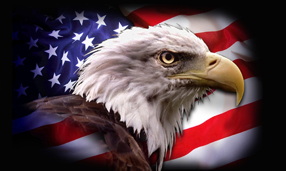 Throne profile picture for @america