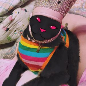 Throne profile picture for @merry