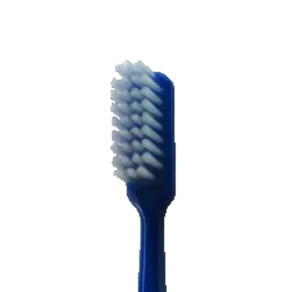 Throne profile picture for @toothbrush