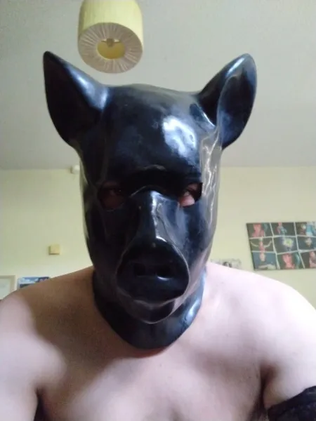 kinkmuttboy