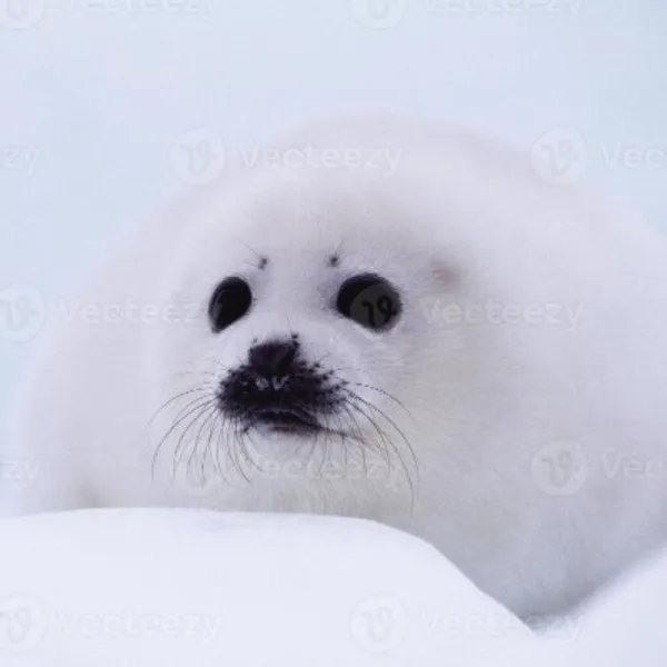 Throne profile picture for @seal