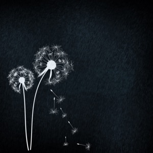 Throne profile picture for @wishes