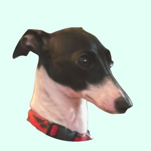 Throne profile picture for @izzy