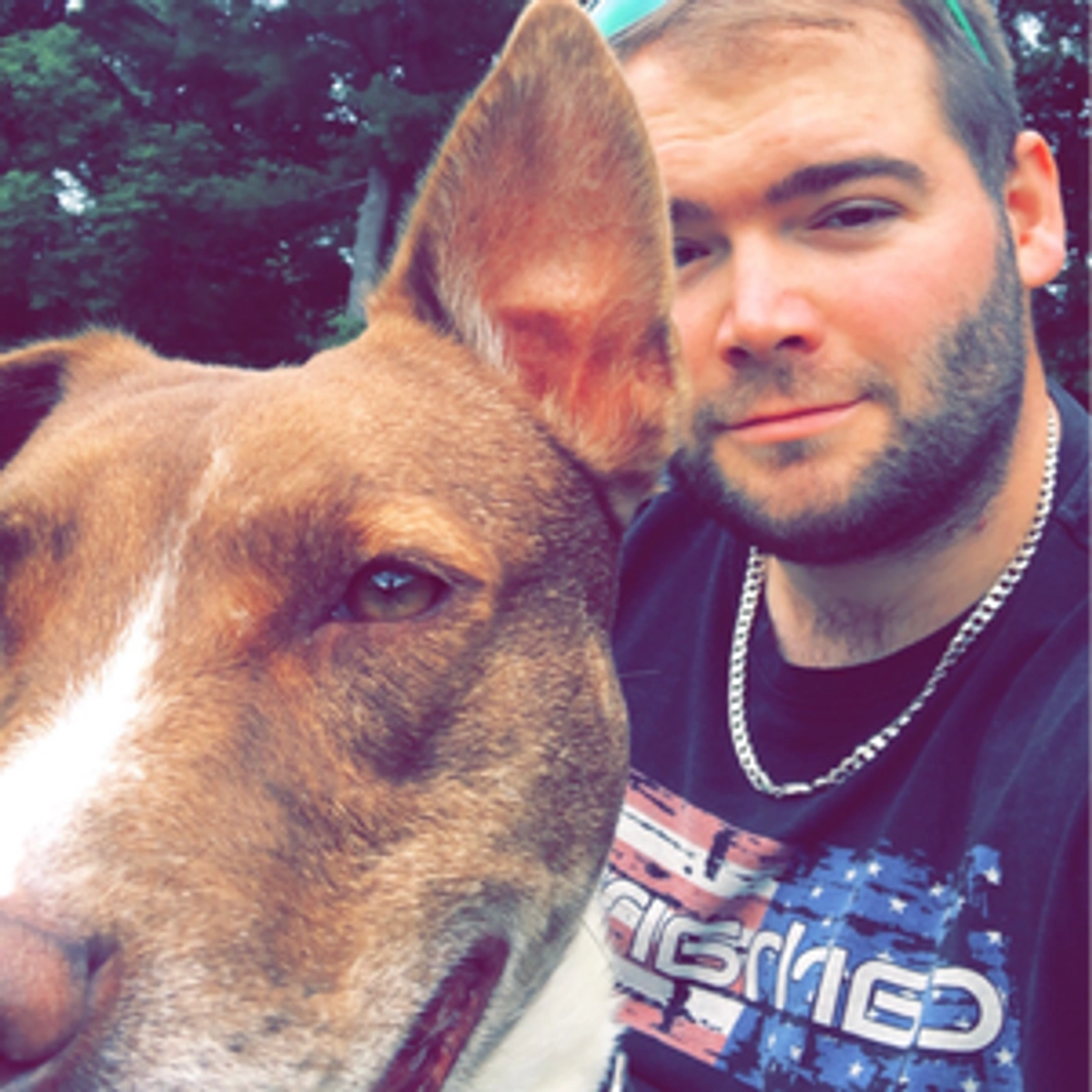 Throne | SPS_ | Wishlist