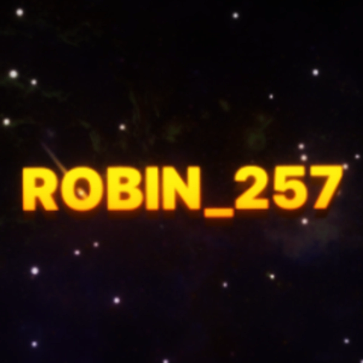 Robin_257