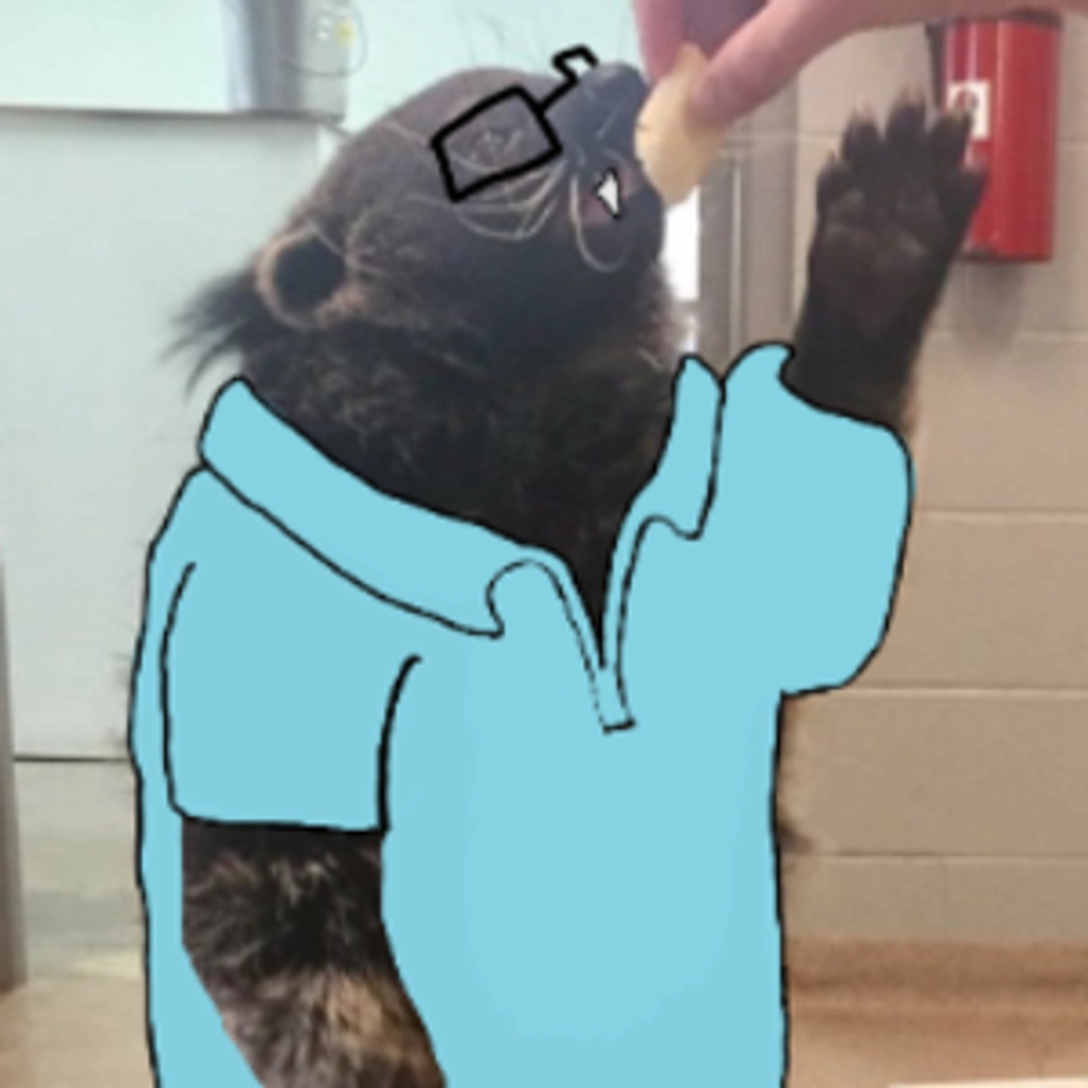 gaitsnipe