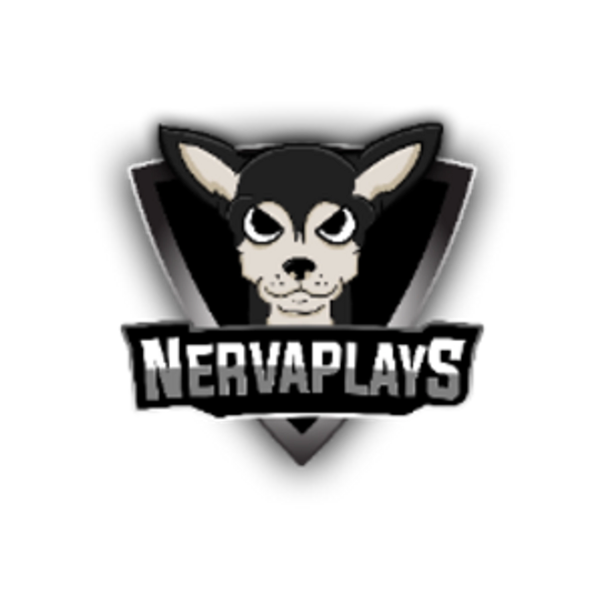 nervaplays