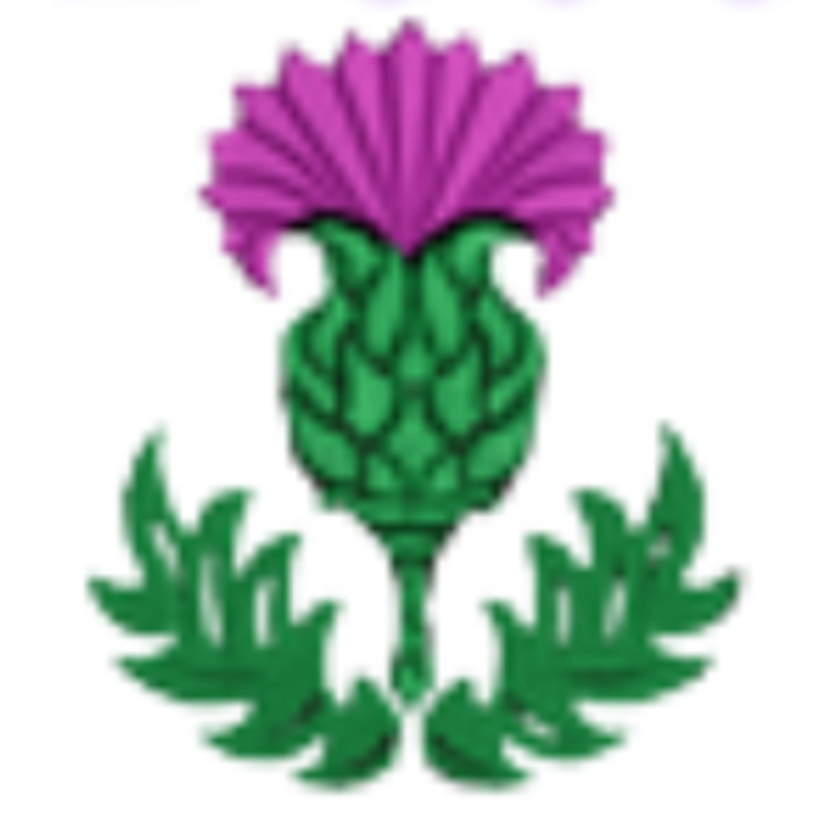 Scottishpickle_c137_a 