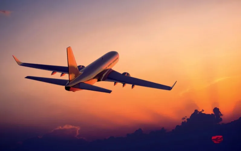 Throne | Queen Lorreign 💧FINDOM | Trips & More