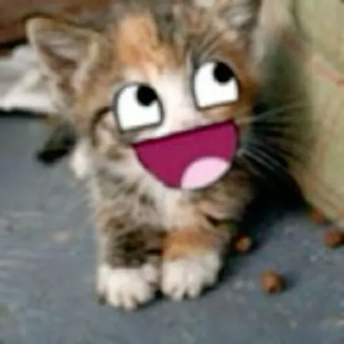 Você escolhe oq devo comprar 