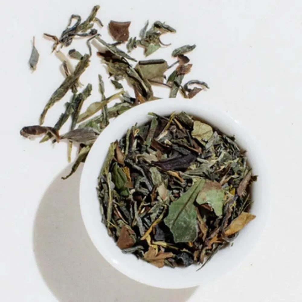 Sustenance and Kelpie Care!