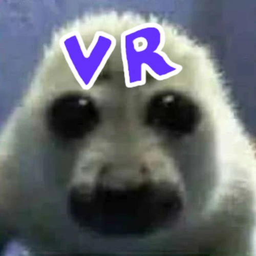 VR