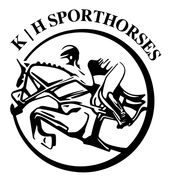 Horseback riding sessions at K H Sport Horses