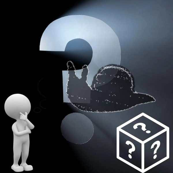 Mystery Snarble, Snail and Marble - Etsy Poland