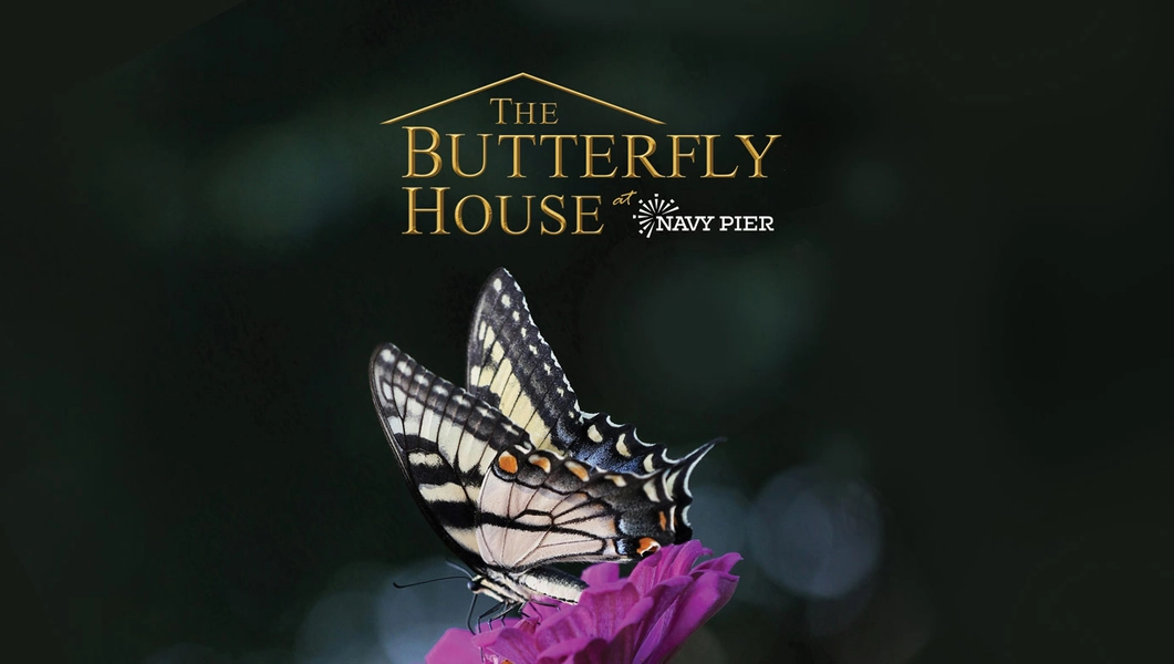 The Butterfly House at Navy Pier