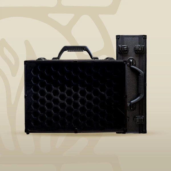 COLOSSAL Chest of Hoarding | 66 Set Capacity! | Plexi Glass Dice Display Case | D&D Dice | RPG