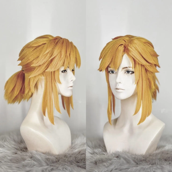 Link BotW inspired cosplay wig