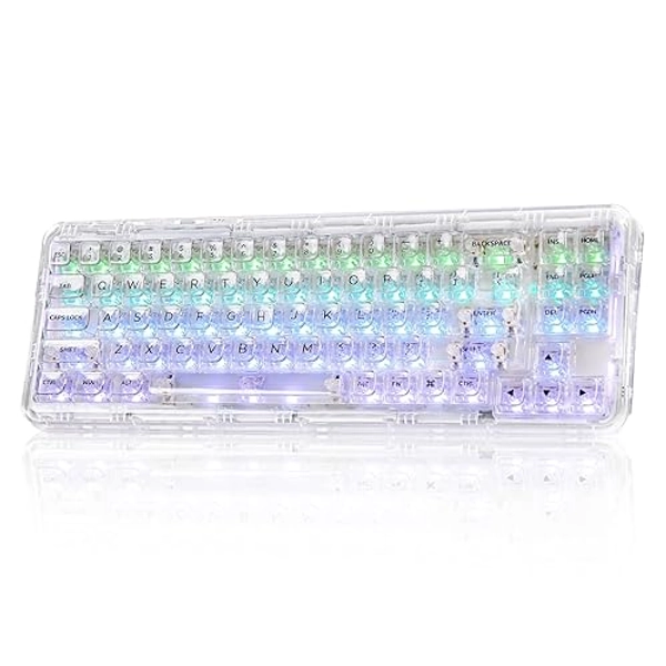 YUNZII X71 Wireless Hot Swappable Transparent Mechanical Keyboard with Clear Keycaps, 68% Layout, BT5.0/2.4G/USB-C Gasket Mount Wireless RGB Backlit for Windows/Mac(Crystal Ice Switch,White)