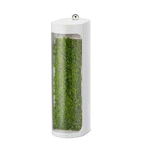 Mosslab Moss Air - Living Moss Humidifier | Aesthetic & Relaxing | Mindfulness & Meditation | Easy-Care Indoor Plants | Terrarium & Tabletop Decor | Mist Waterfall | Portable & Whisper-Quiet - White