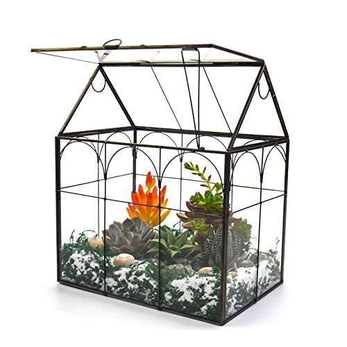 Large Tall Plant Terrarium Glass – Glass Greenhouse Terrarium with Lid, 8.7"X5.9"X10.6" Inches Indoor Tabletop Orchid Succulent Cacti Terrarium Kit NA (House Black A) - Black