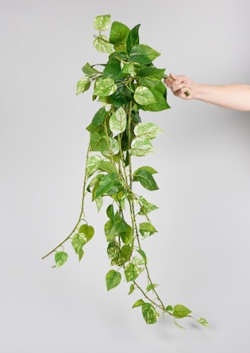 Artificial Pothos 48"