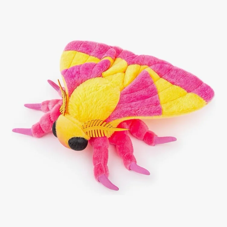 rosy maple moth ^~^