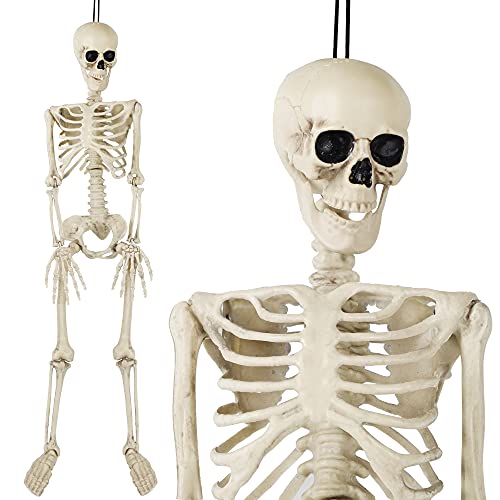 3 ft Skeleton, Full Body Skeleton, 1/2 Life Size Human Bones Pose-N-Stay Realistic with Adjustable Joints, Pose Skeleton Prop for Halloween Decoration