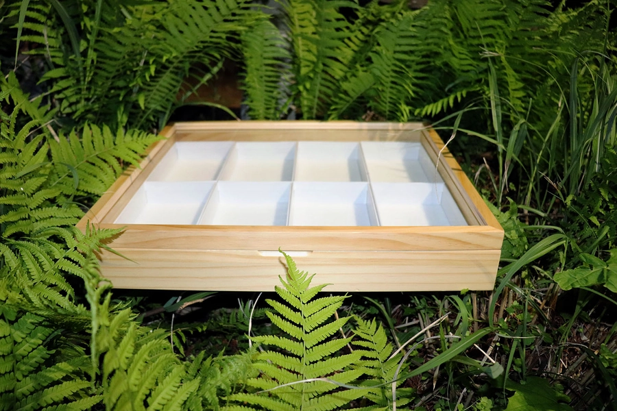 Cornell Drawer - Ecology Supplies