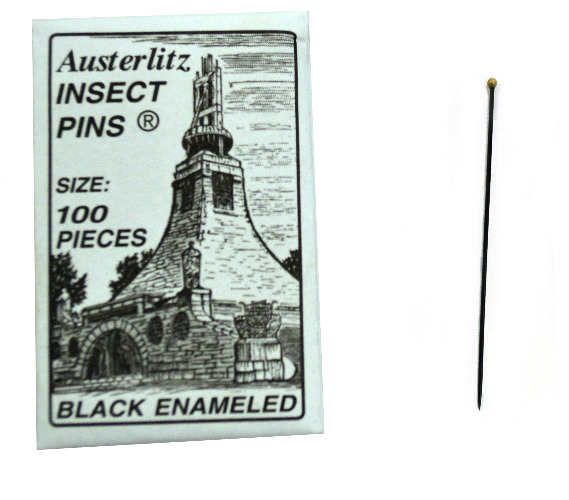 Premium Insect Entomology Dissection Pins, Size 2, Museum Grade, Pack of 100 - 