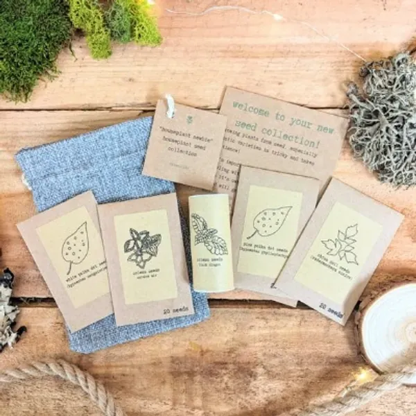Houseplant Seed Collection 'houseplant Newbie' exotic | Etsy