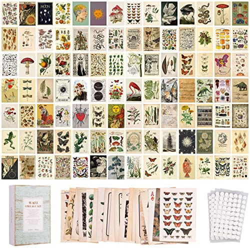 100PCS Vintage Photo Wall Collage Kit Aesthetic Posters, Double-Sided Printed Botanical Illustration Tarot Aesthetic Pictures for Cottage Core Vintage Room Decor (Vintage Set of 200Pictures) - 100PCS - Multicolor