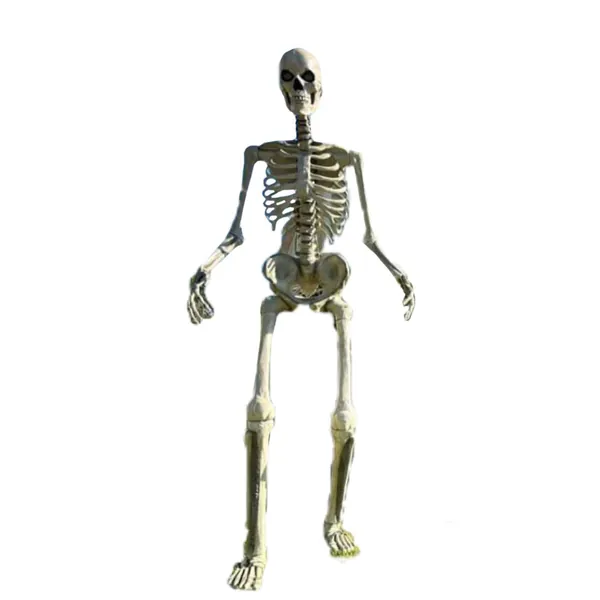 Home Accents 12 ft. Giant-Sized Skeleton with LifeEyes - 