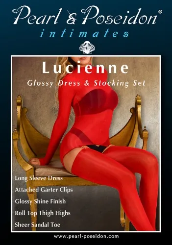 Lucienne - Glossy Set Dress & Roll Top Stockings with Garter Clips