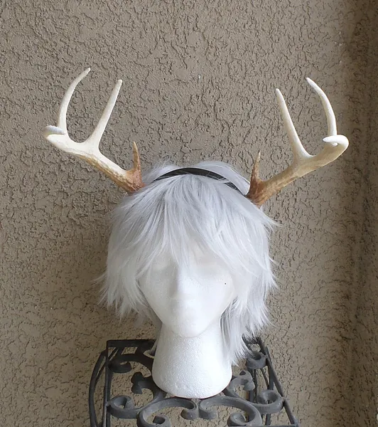 Deer Antlers